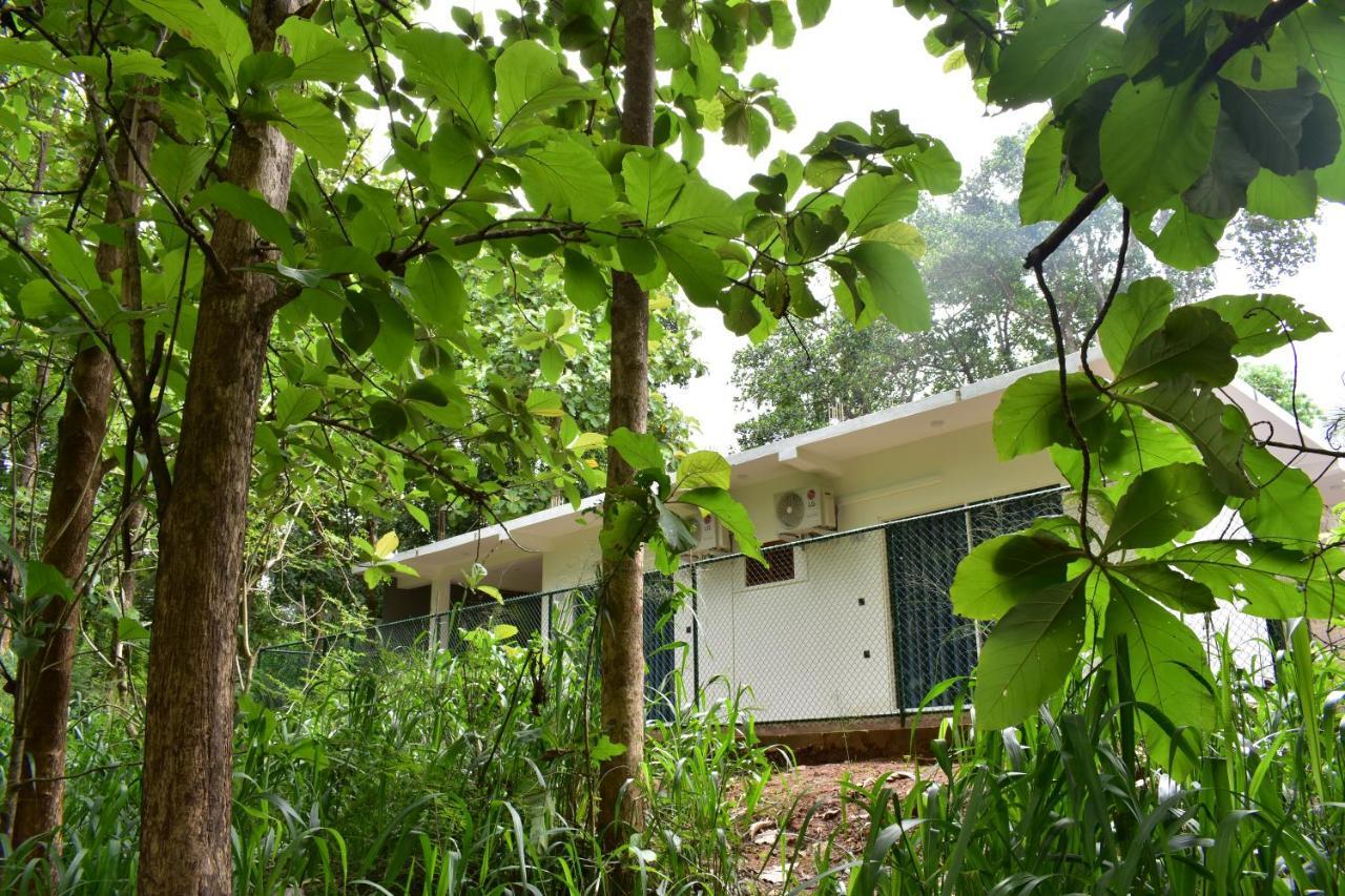 Forest Edge Safari Villa Udawalawe Bagian luar foto
